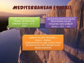 Detail Gambar Hutan Mediterranean Nomer 19