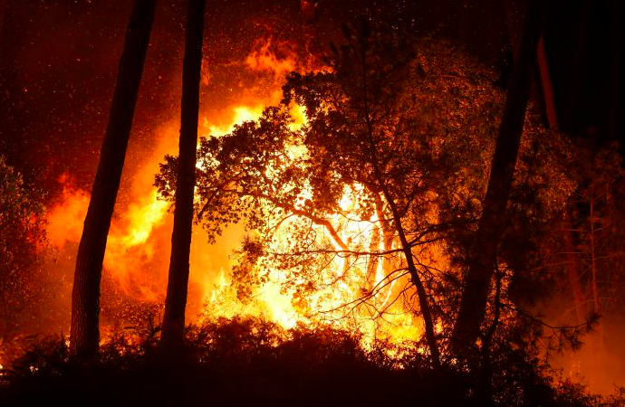 Detail Gambar Hutan Terbakar Nomer 34