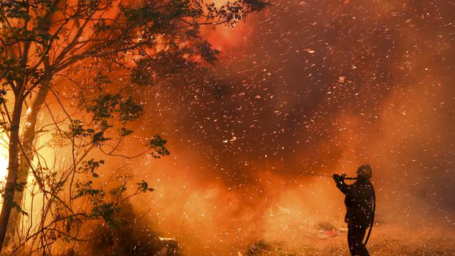 Detail Gambar Hutan Terbakar Nomer 35