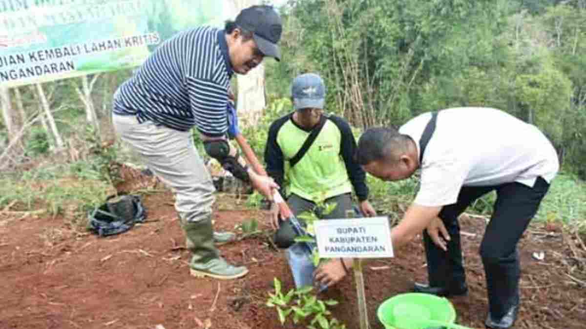 Detail Gambar Hutan Yang Gundul Nomer 45