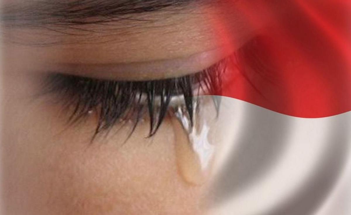 Detail Gambar Ibu Pertiwi Menangis Nomer 4