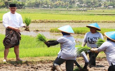 Detail Gambar Ibu Petani Nomer 35