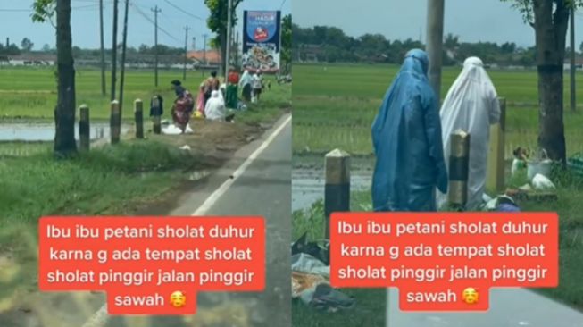 Detail Gambar Ibu Petani Nomer 37