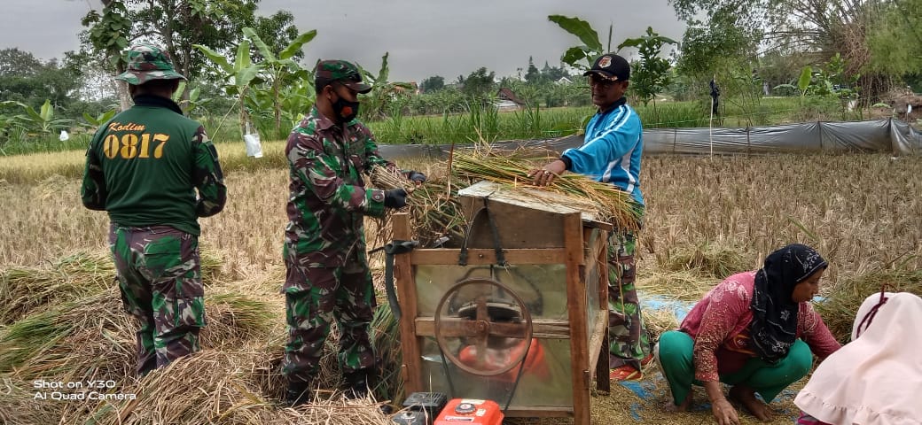 Detail Gambar Ibu Petani Nomer 38