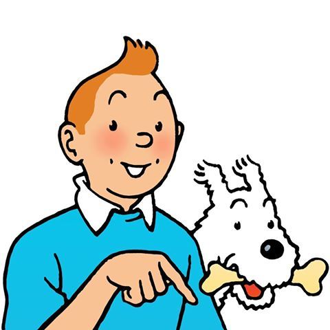 Detail Tintin Pictures Nomer 4