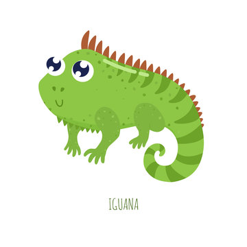 Detail Gambar Iguana Kartun Nomer 21