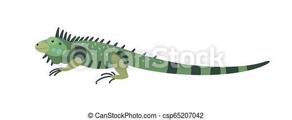 Detail Gambar Iguana Kartun Nomer 51