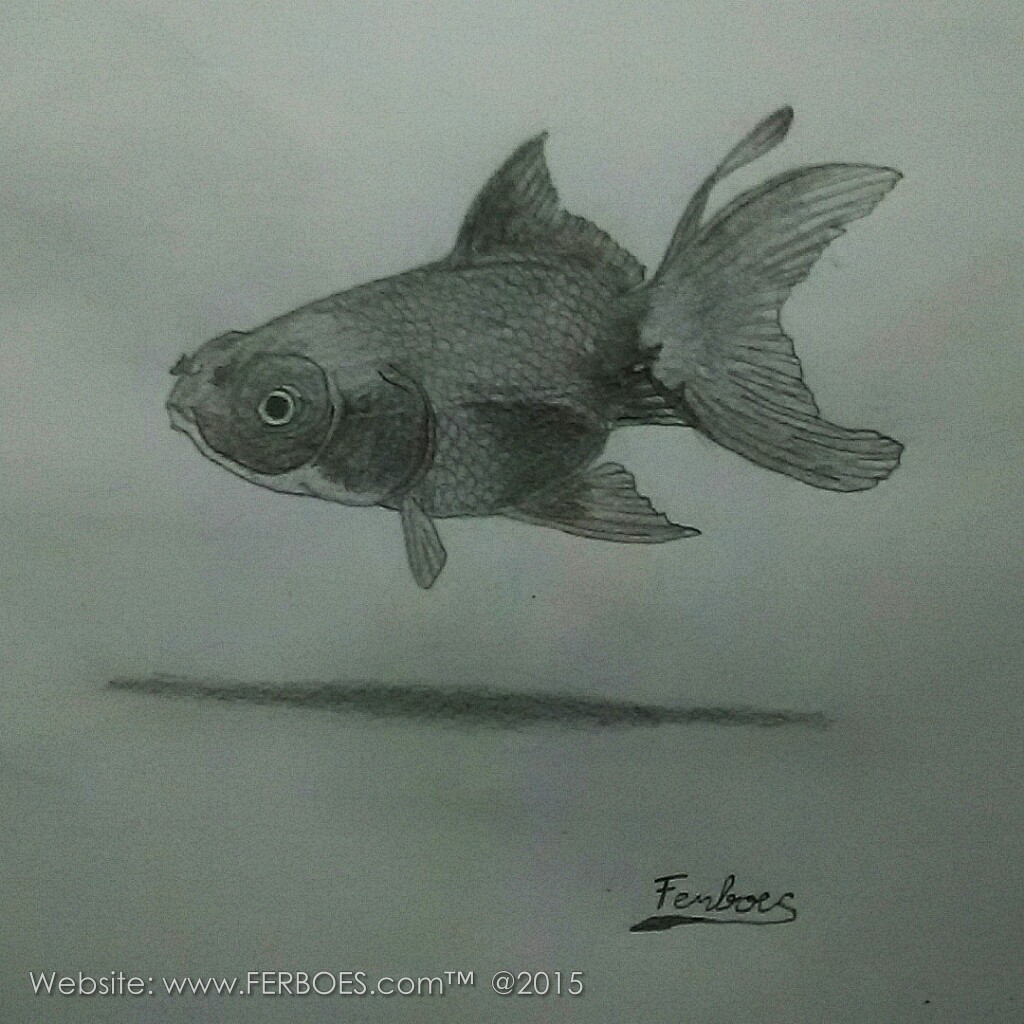 Detail Gambar Ikan 3 Dimensi Nomer 39