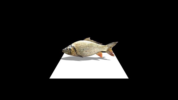 Detail Gambar Ikan 3d Nomer 7