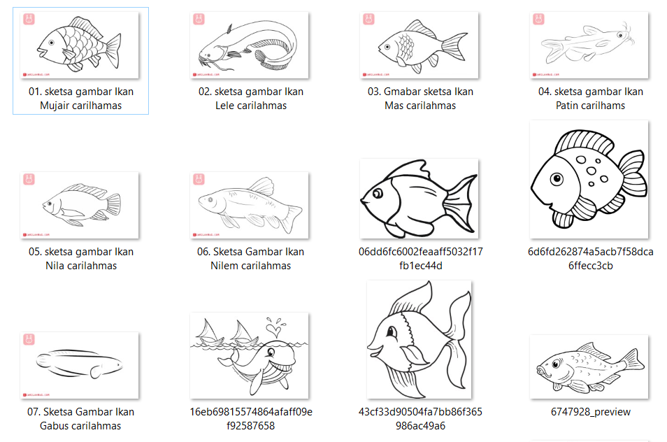 Detail Gambar Ikan Anak Anak Nomer 35