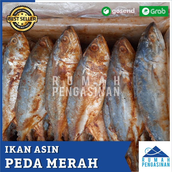 Detail Gambar Ikan Asin Peda Nomer 53