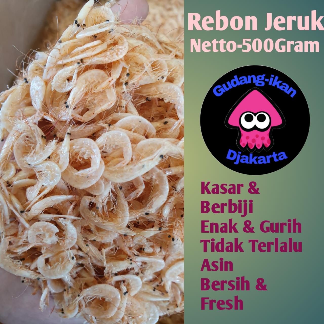 Detail Gambar Ikan Asin Rebon Nomer 24