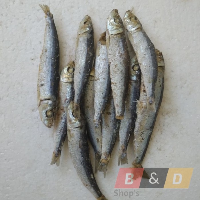 Detail Gambar Ikan Asin Sarden Nomer 2