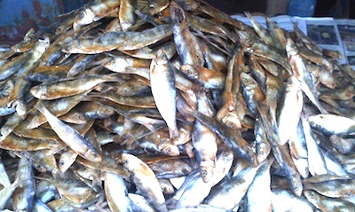 Detail Gambar Ikan Asin Sarden Nomer 24