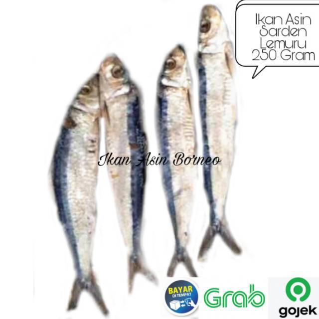 Download Gambar Ikan Asin Sarden Nomer 5