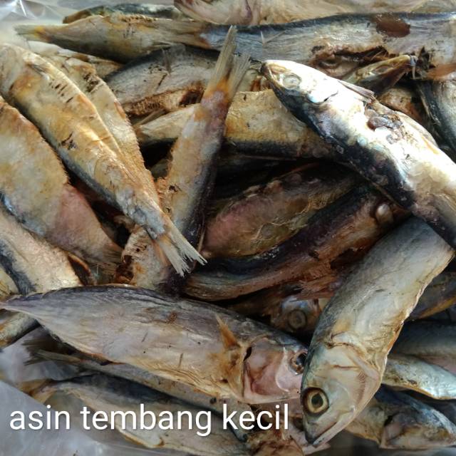 Detail Gambar Ikan Asin Tembang Nomer 13