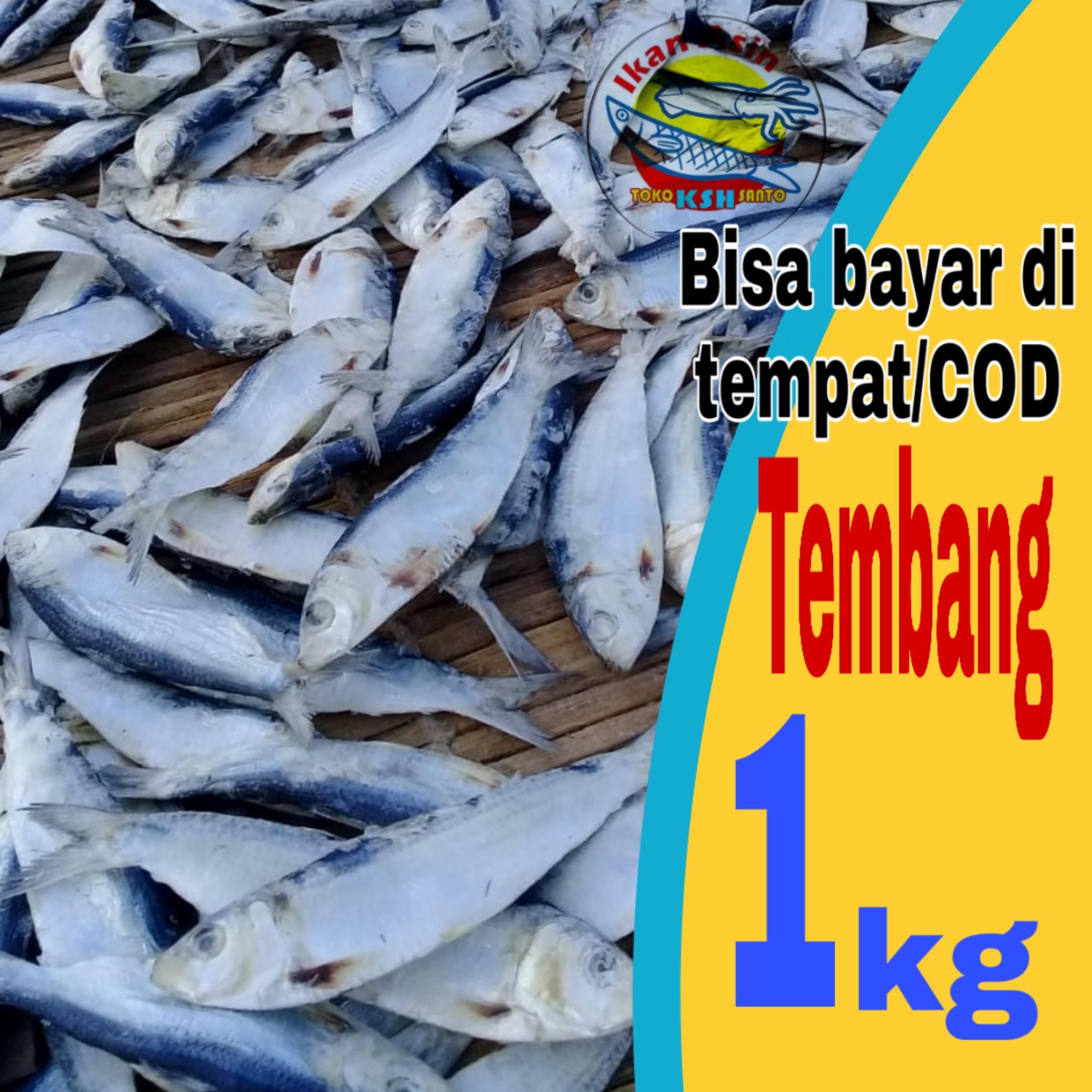 Detail Gambar Ikan Asin Tembang Nomer 24