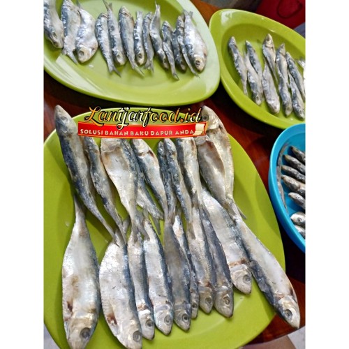 Detail Gambar Ikan Asin Tembang Nomer 33