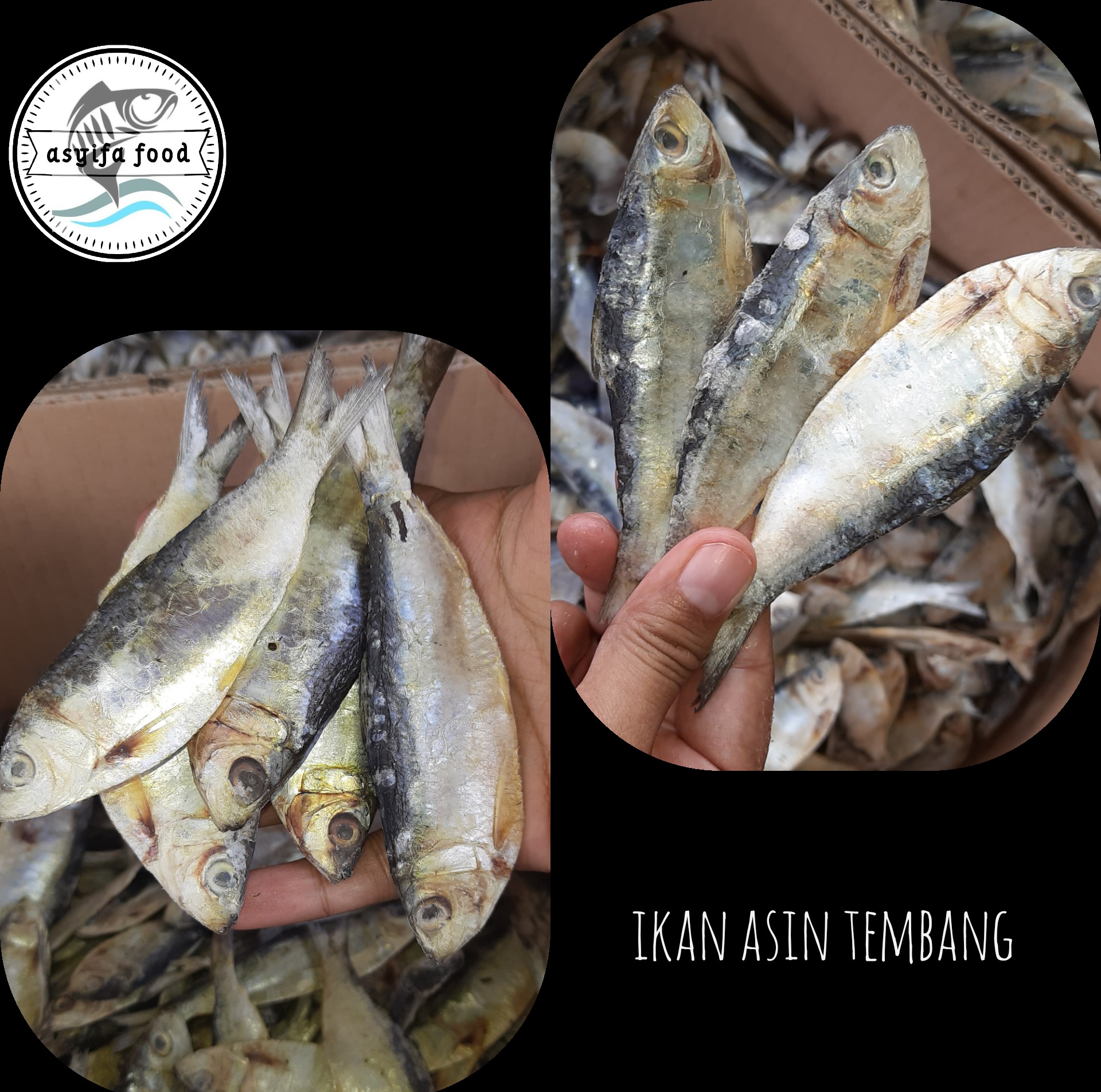 Detail Gambar Ikan Asin Tembang Nomer 41