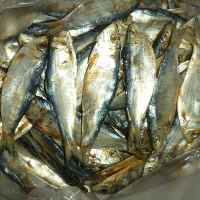 Detail Gambar Ikan Asin Tembang Nomer 43