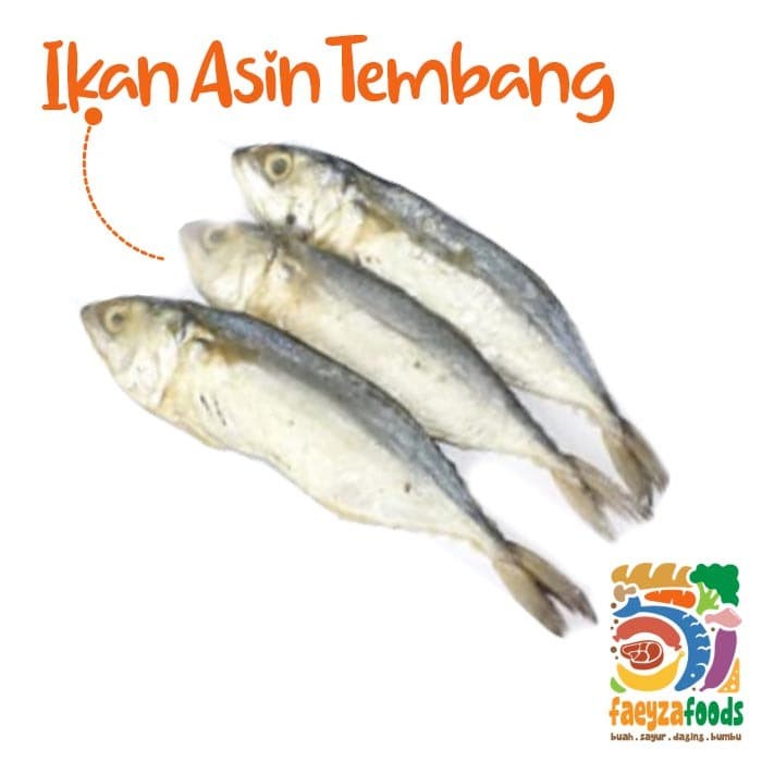 Detail Gambar Ikan Asin Tembang Nomer 44