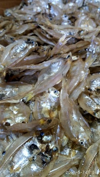 Detail Gambar Ikan Asin Tembang Nomer 45