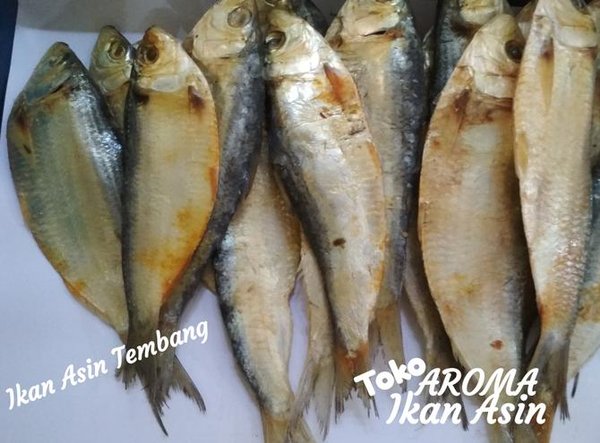 Detail Gambar Ikan Asin Tembang Nomer 7