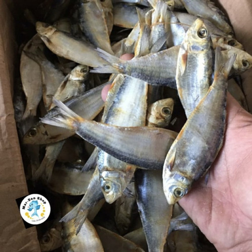 Detail Gambar Ikan Asin Tembang Nomer 10