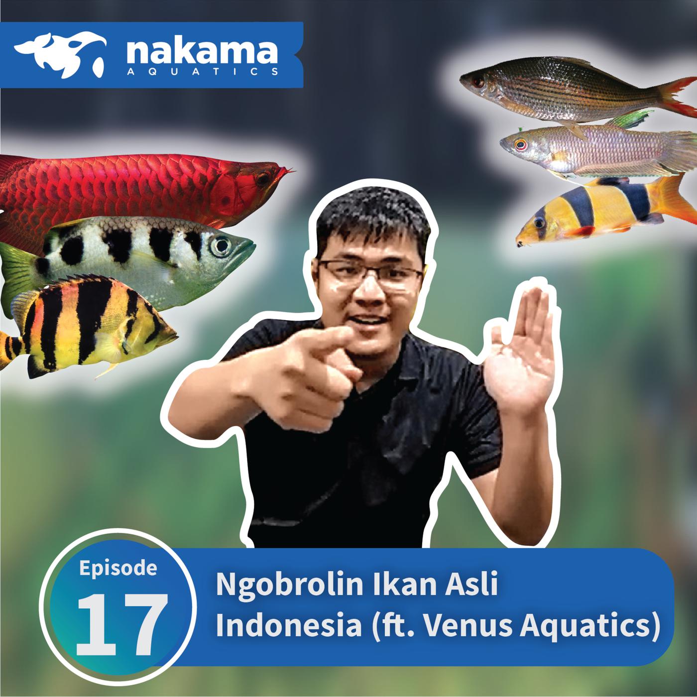 Detail Gambar Ikan Asli Nomer 39