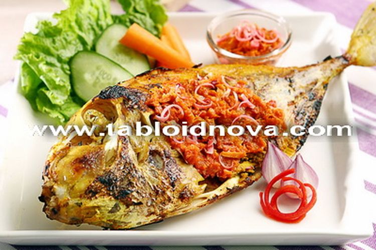 Detail Gambar Ikan Ayam Nomer 56