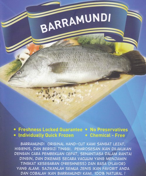 Detail Gambar Ikan Barramundi Nomer 50