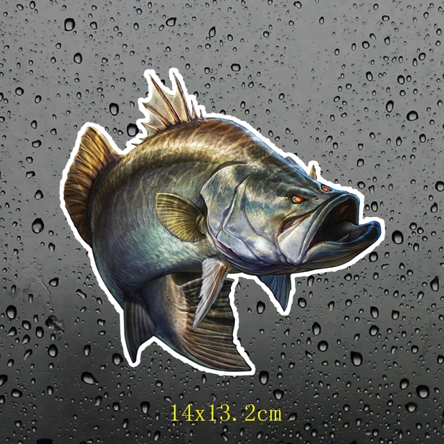 Detail Gambar Ikan Barramundi Animated Nomer 46