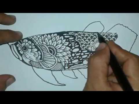 Detail Gambar Ikan Batik Nomer 2