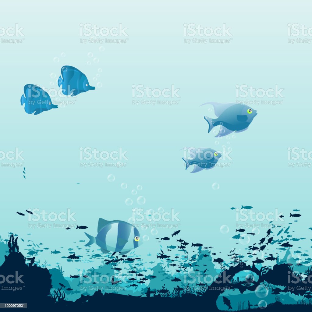 Detail Gambar Ikan Bawah Laut Nomer 41
