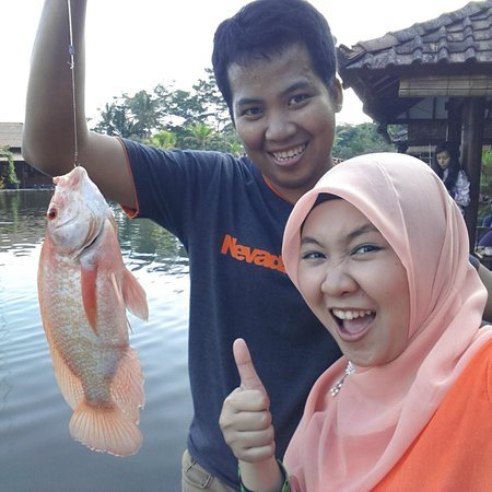 Detail Gambar Ikan Besar Nomer 47