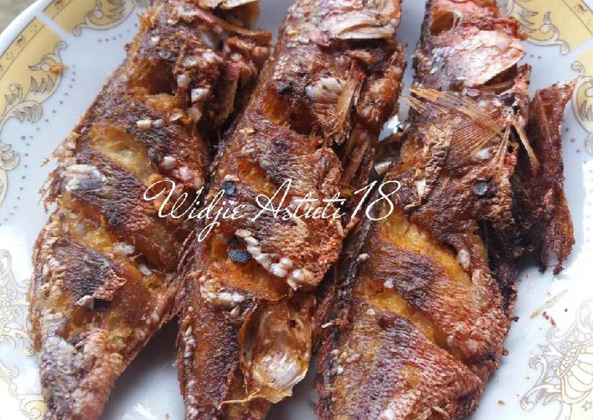 Detail Gambar Ikan Biji Nangka Nomer 12