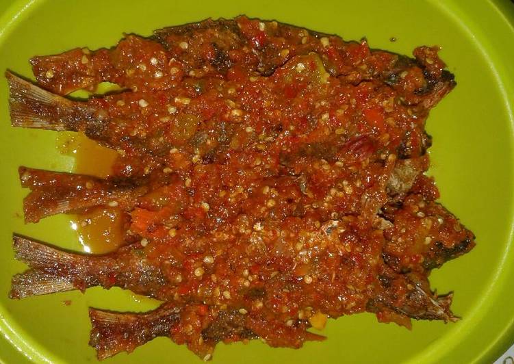 Detail Gambar Ikan Biji Nangka Nomer 13