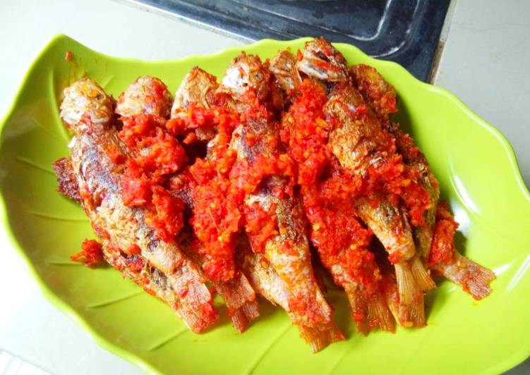 Detail Gambar Ikan Biji Nangka Nomer 15
