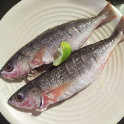 Detail Gambar Ikan Biji Nangka Nomer 16