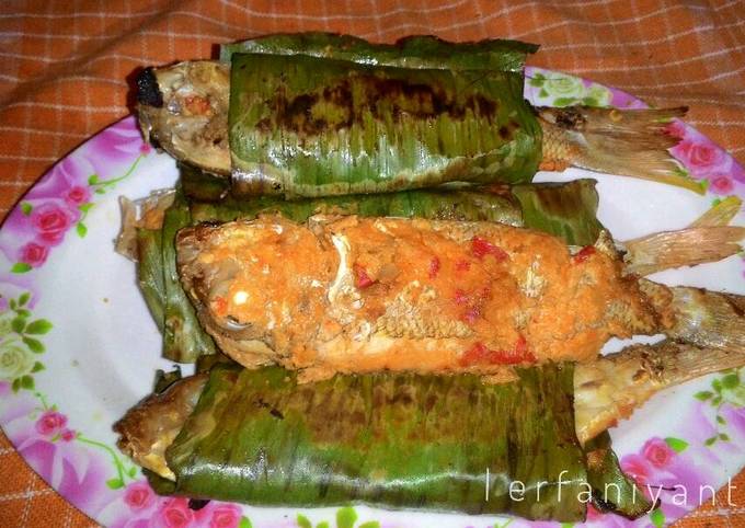 Detail Gambar Ikan Biji Nangka Nomer 22