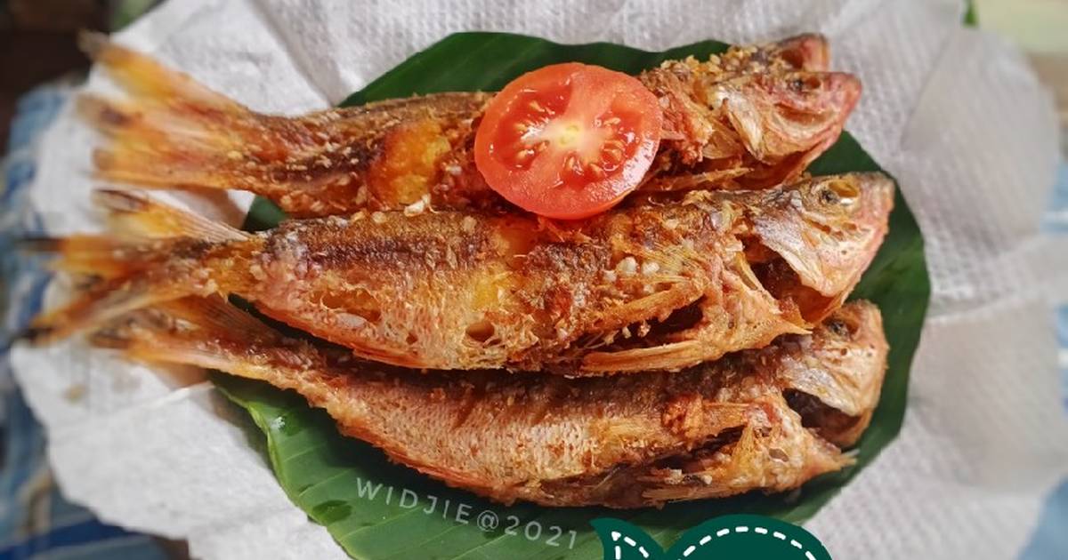 Detail Gambar Ikan Biji Nangka Nomer 4