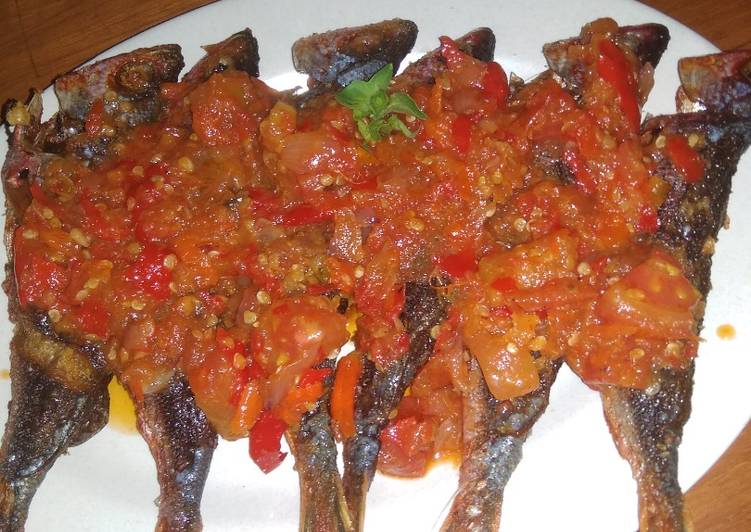 Detail Gambar Ikan Biji Nangka Nomer 33