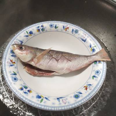 Detail Gambar Ikan Biji Nangka Nomer 34