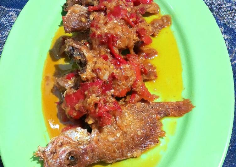 Detail Gambar Ikan Biji Nangka Nomer 35