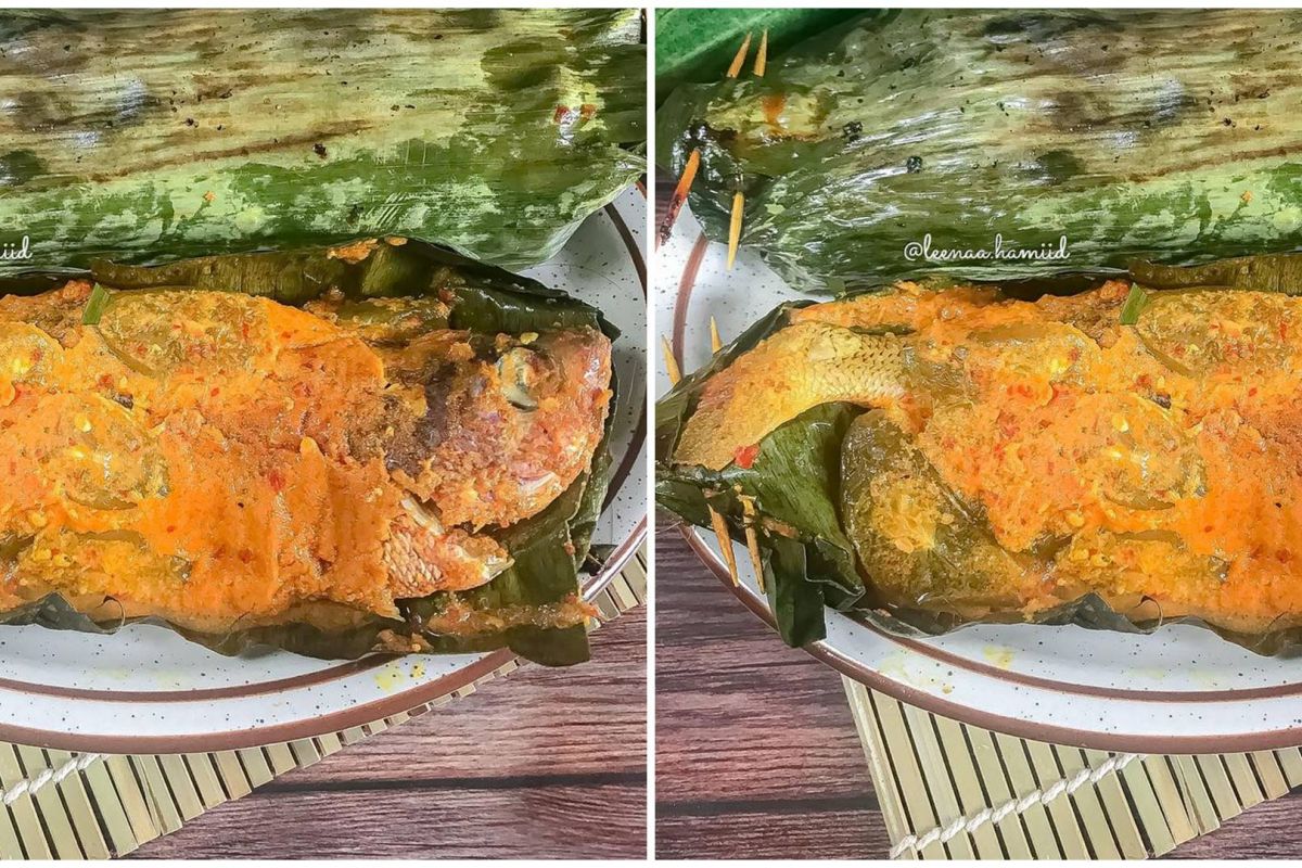 Detail Gambar Ikan Biji Nangka Nomer 45