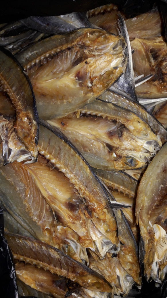 Detail Gambar Ikan Biji Nangka Nomer 47