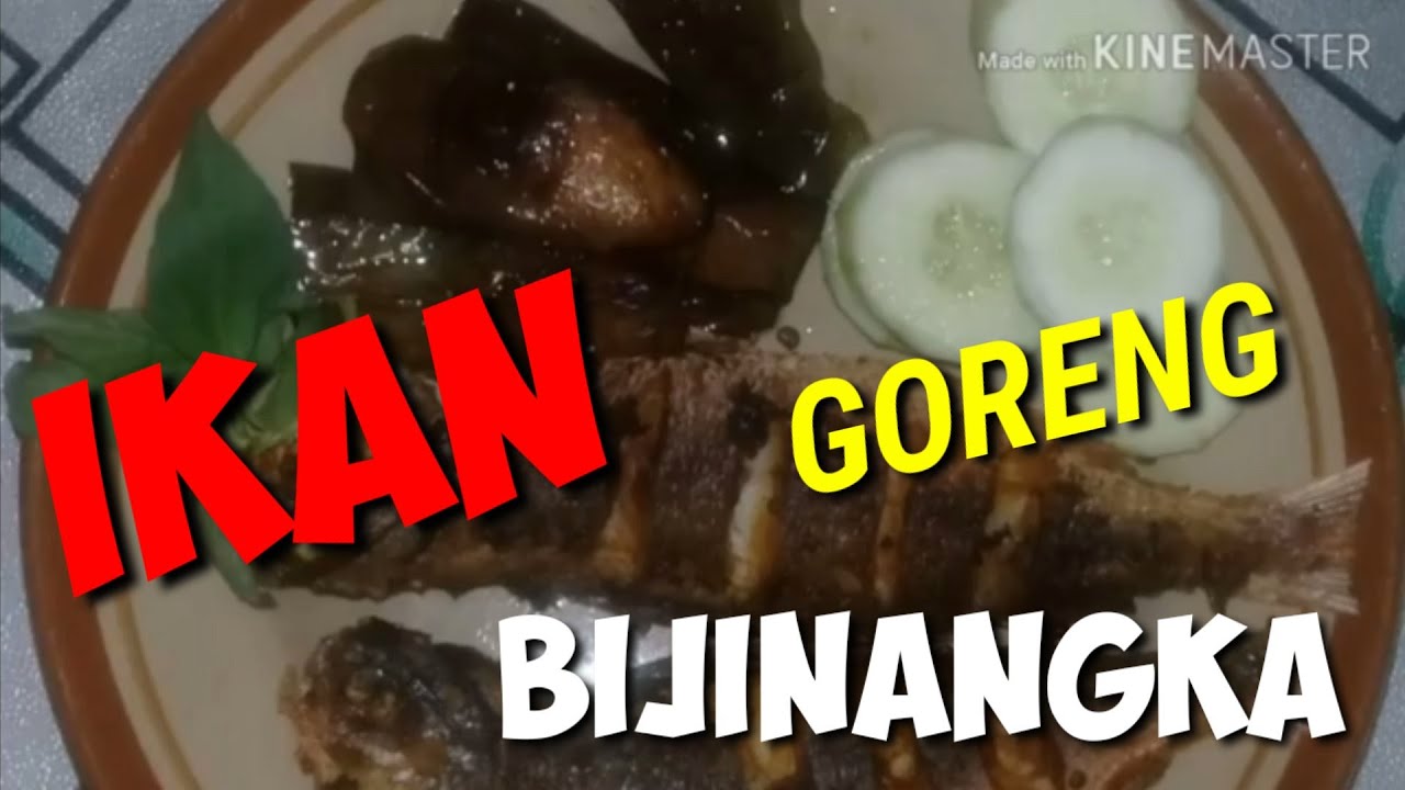 Detail Gambar Ikan Biji Nangka Nomer 49