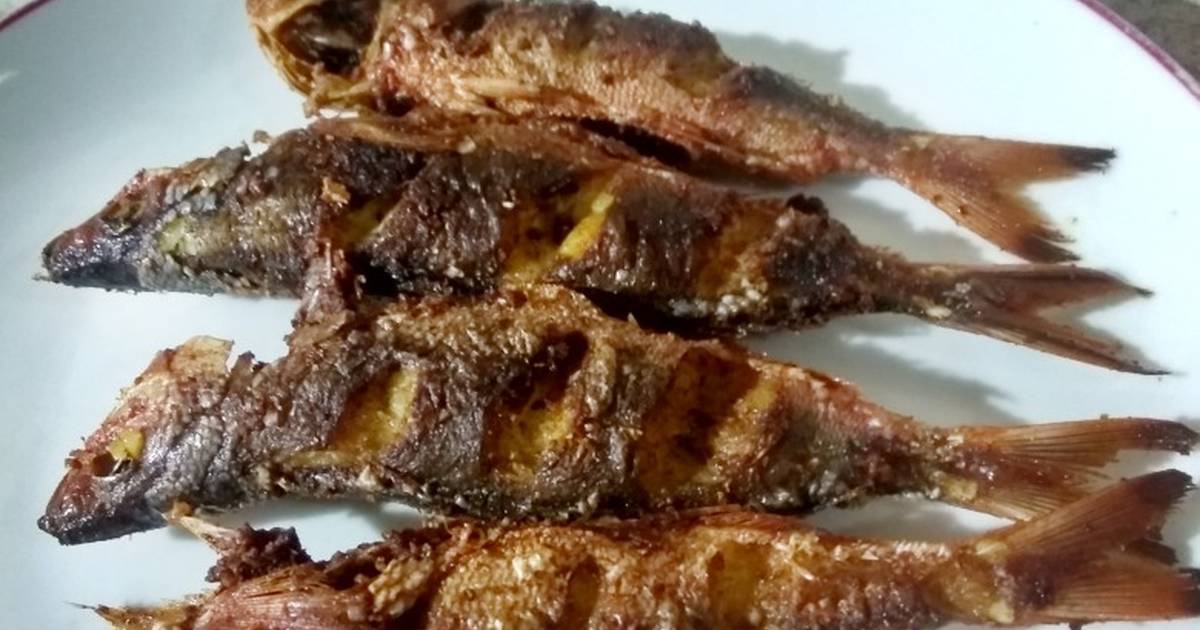 Detail Gambar Ikan Biji Nangka Nomer 9