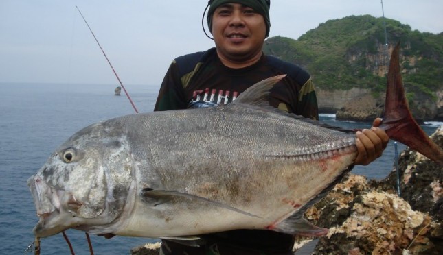 Detail Gambar Ikan Bubara Nomer 13