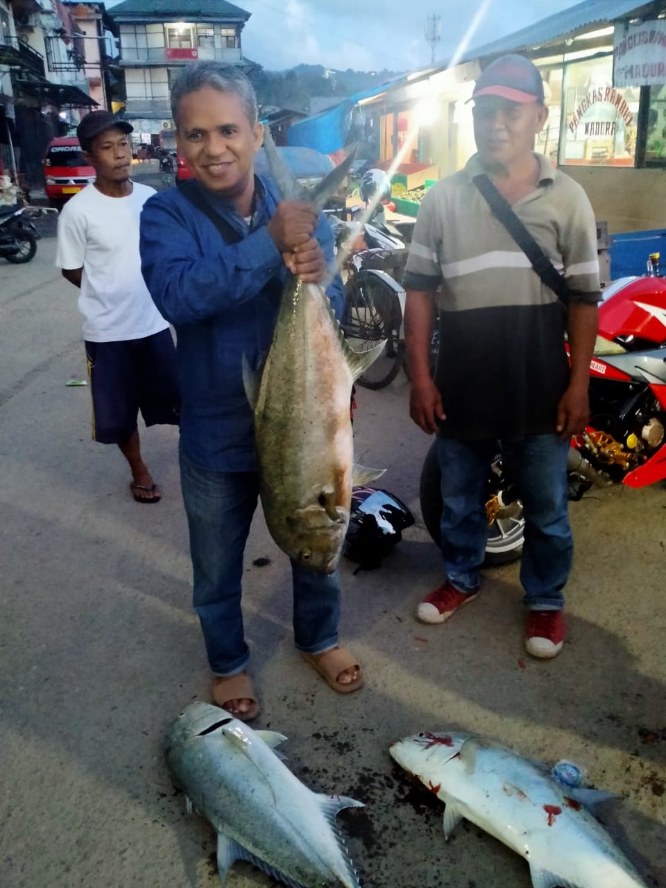 Detail Gambar Ikan Bubara Nomer 14